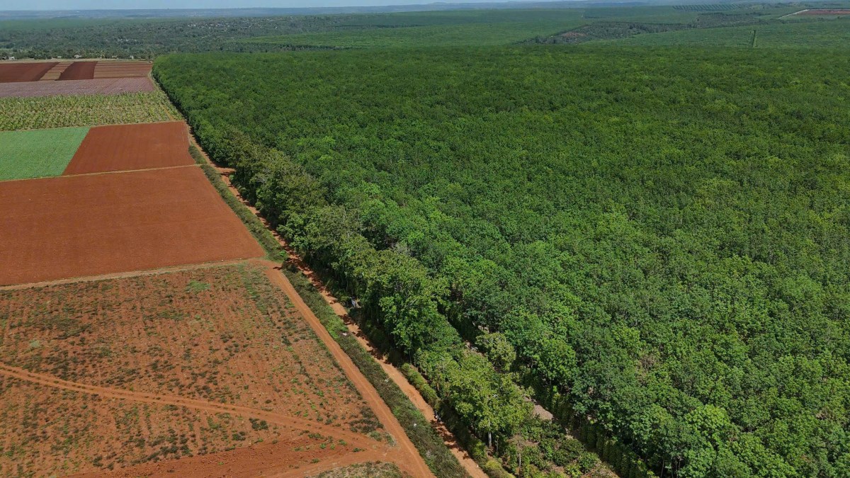 Bán đất khu công nghiệp tại Đắk Lắk giá rẻ